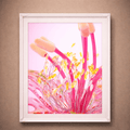 The Blushing Lily | Photographic Print of Original Handcrafted Sculpture (Unframed)