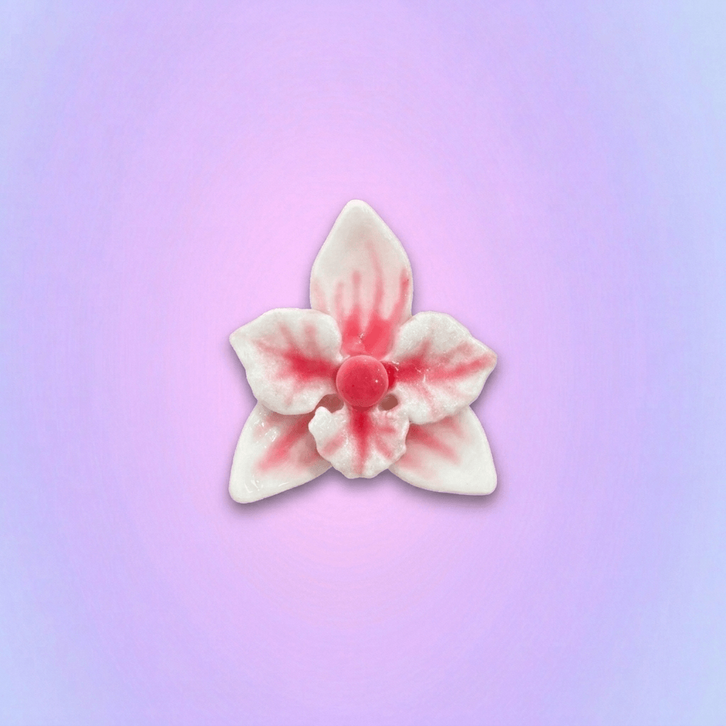 The Blushing Porcelain Orchid | Hand-Glazed Botanical Magnet