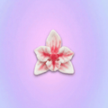 The Blushing Porcelain Orchid | Hand-Glazed Botanical Magnet