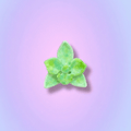 Verdant Bloom | Hand-Glazed Botanical Magnet