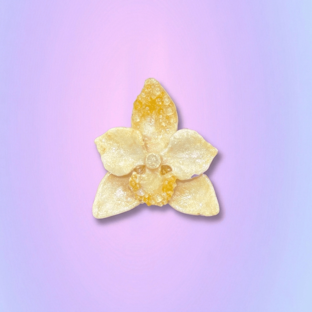 Golden Amber Orchid | Hand-Painted Artisan Resin Brooch