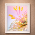 The Fantasy Bloom | Photographic Print of Original Handcrafted Sculpture (Unframed)